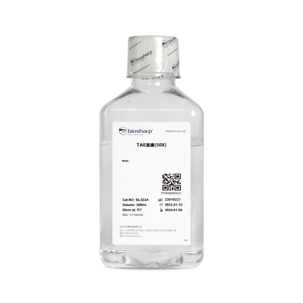 BL533A TAE(50X)溶液