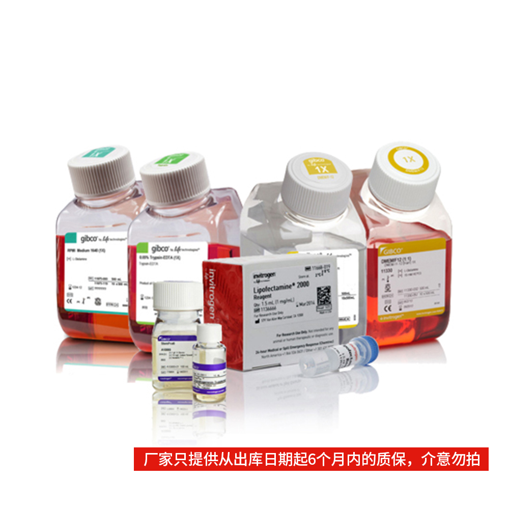 11791-020 LR Clonase II 酶混合物 - Invitrogen
