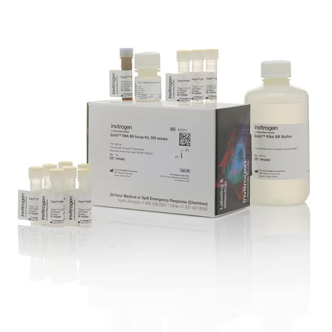 Q32855 RNA 高灵敏度 (HS) 定量试剂盒 - Invitrogen