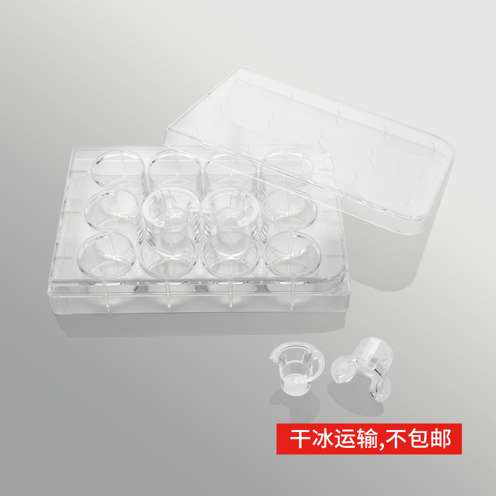 14247S 细胞侵袭小室,含12孔板(基质胶包被,PET膜,12mm,孔径8.0μm)