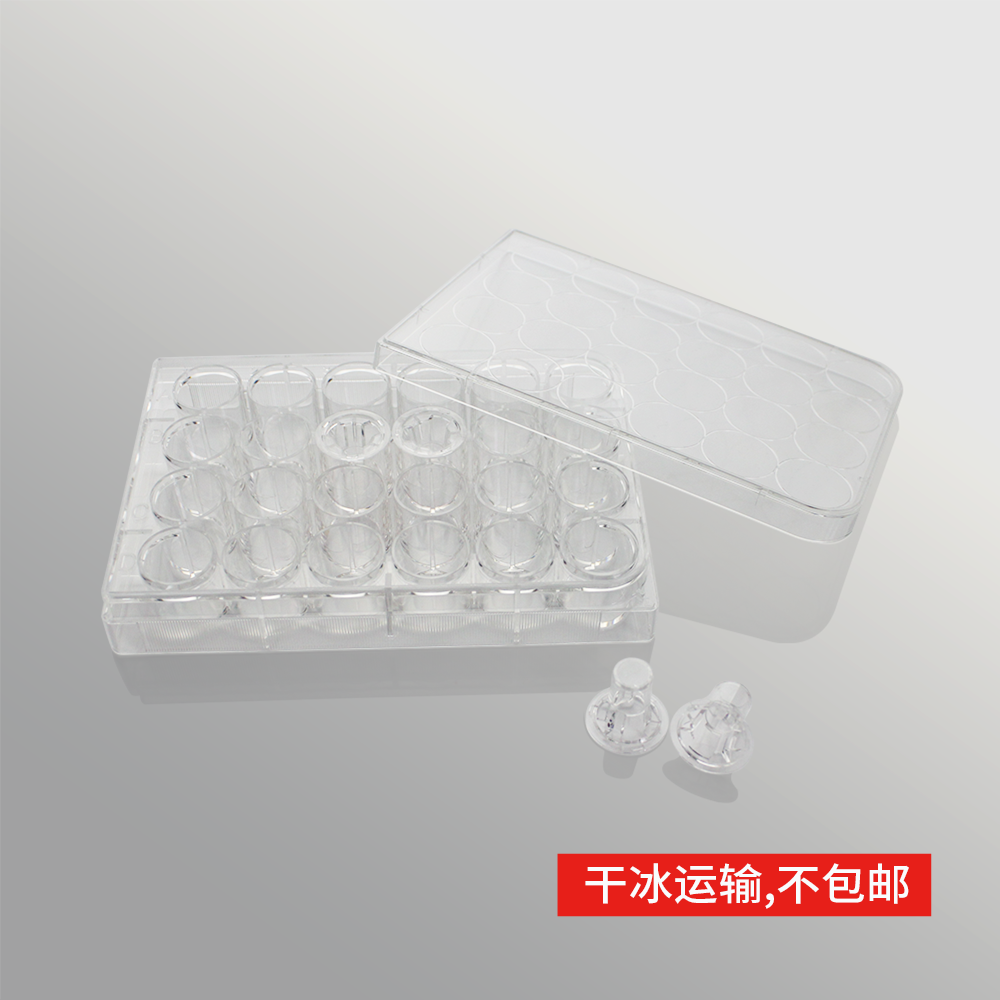 14337S 细胞侵袭小室,含24孔板(基质胶包被,PET膜,6.5mm,孔径5.0μm) - LABSELECT(甄选)