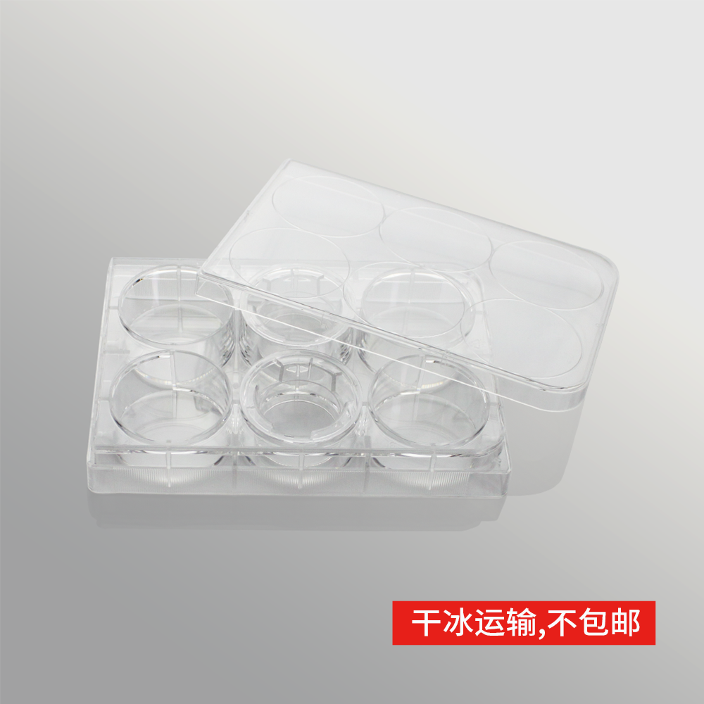 14148S 细胞侵袭小室,含6孔板(基质胶包被,PC膜,24mm,孔径8.0μm)