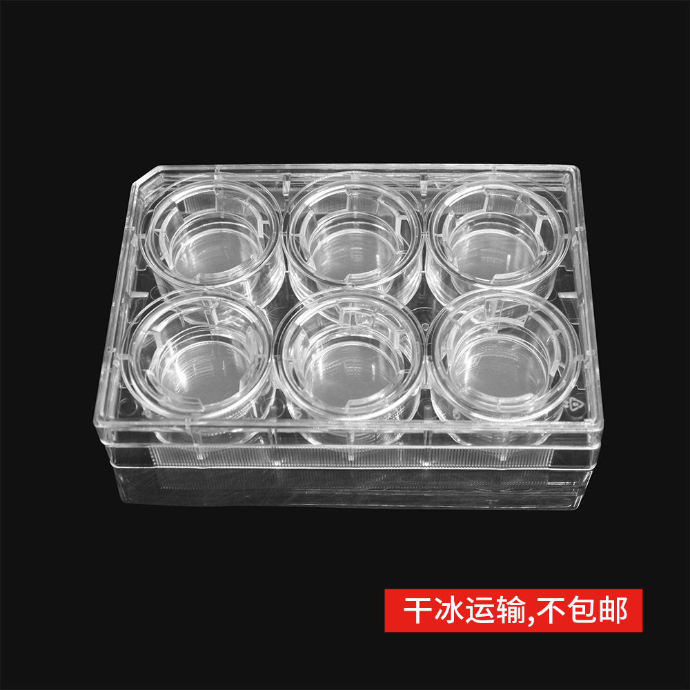 14147 细胞侵袭小室,含6孔板(基质胶包被,PET膜24mm,孔径8.0μm)