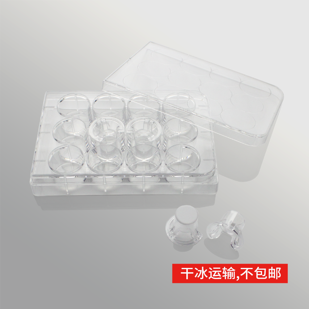 14238S 细胞侵袭小室,含12孔板(基质胶包被,PC膜,12mm,孔径5.0μm)