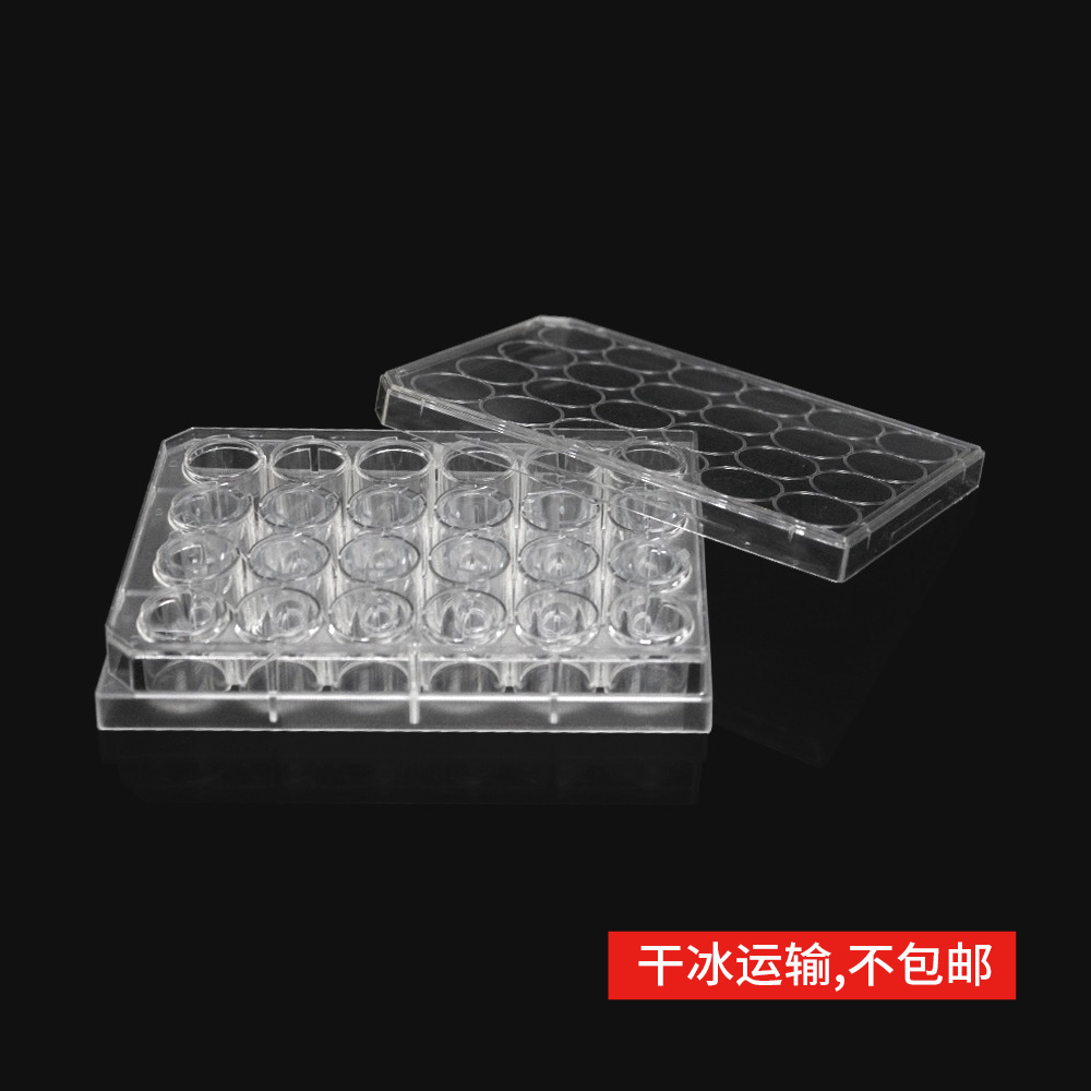 14347S 细胞侵袭小室,含24孔板(基质胶包被,PET膜,6.5mm,孔径8.0μm)