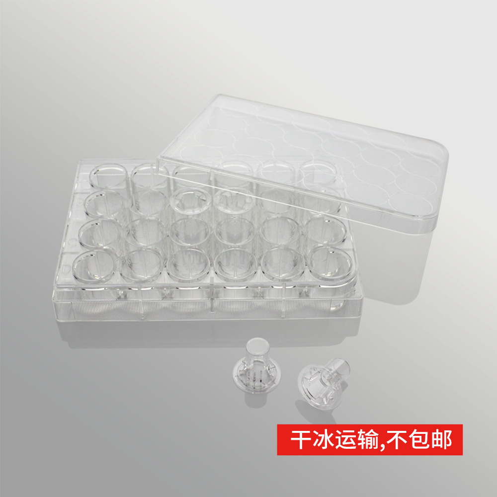 14338S 细胞侵袭小室,含24孔板(基质胶包被,PC膜,6.5mm,孔径5.0μm)