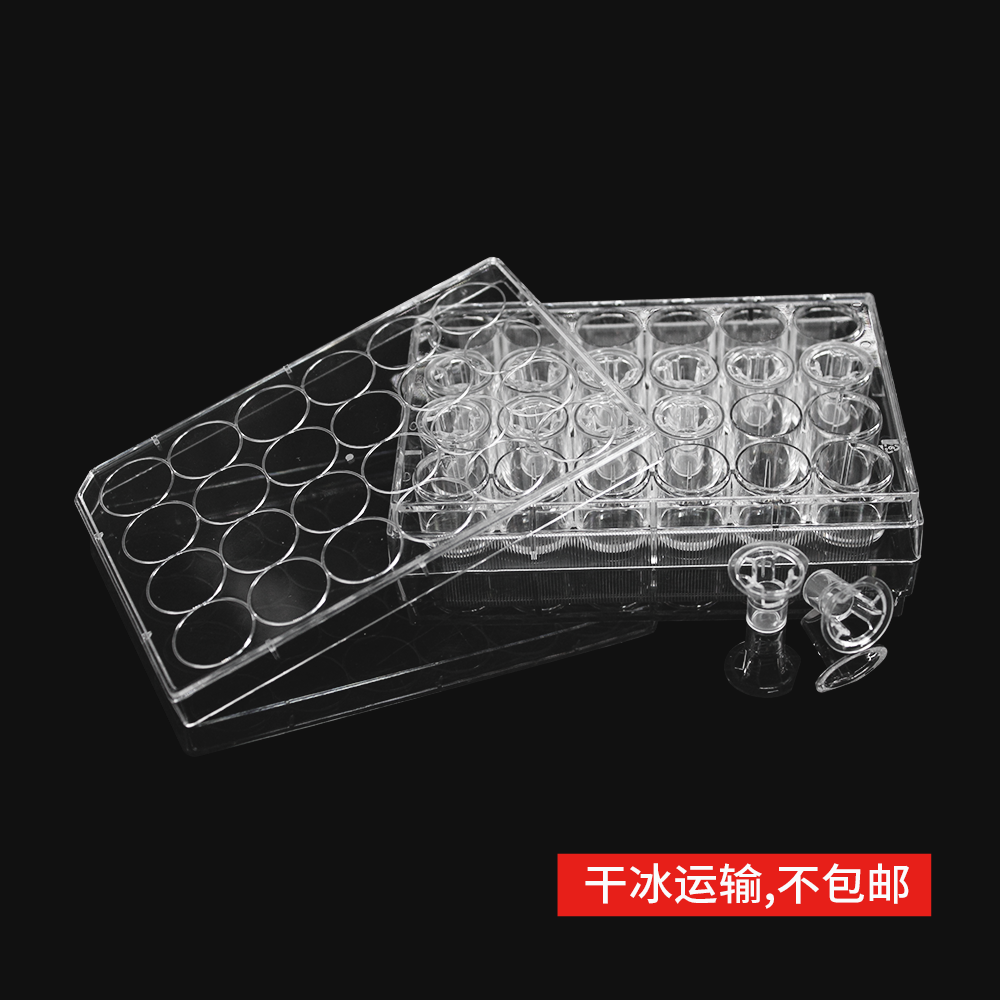 14337 细胞侵袭小室,含24孔板(基质胶包被,PET膜,6.5mm,孔径5.0μm) - LABSELECT(甄选)