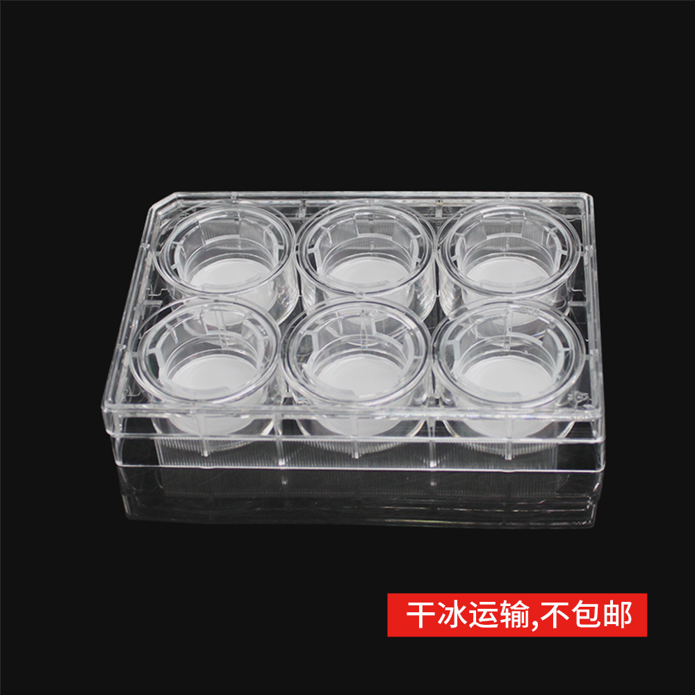 14138 细胞侵袭小室,含6孔板(基质胶包被,PC膜,24mm,孔径5.0μm)