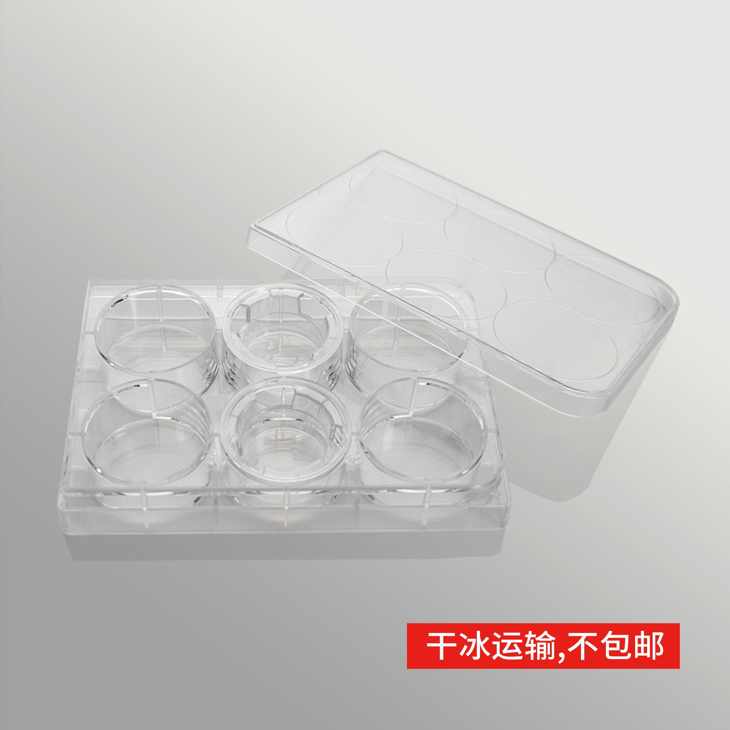 14137S 细胞侵袭小室,含6孔板(基质胶包被,PET膜,24mm,孔径5.0μm) - LABSELECT(甄选)