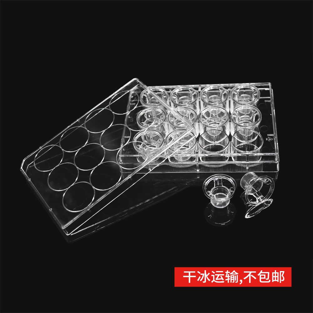 14247 细胞侵袭小室,含12孔板(基质胶包被,PET膜,12mm,孔径8.0μm)