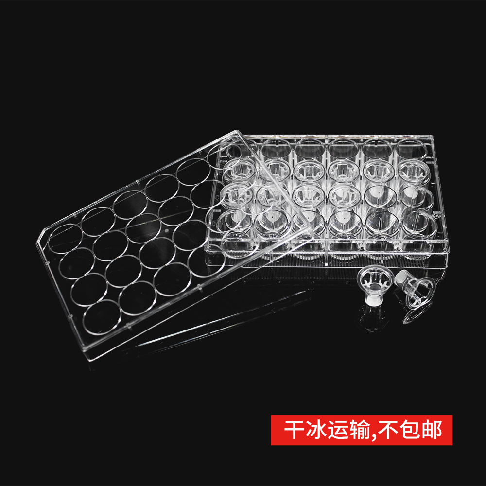 14338 细胞侵袭小室,含24孔板(基质胶包被,PC膜,6.5mm,孔径5.0μm)