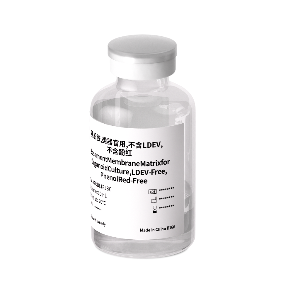 BL1838C 基质胶，类器官用，不含LDEV，不含酚红