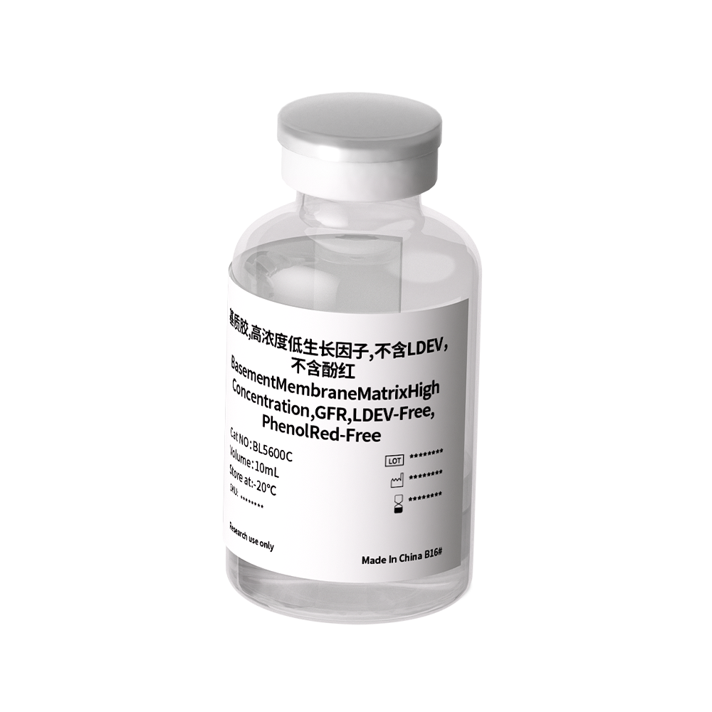 BL5600C 基质胶，高浓度低生长因子，不含LDEV，不含酚红