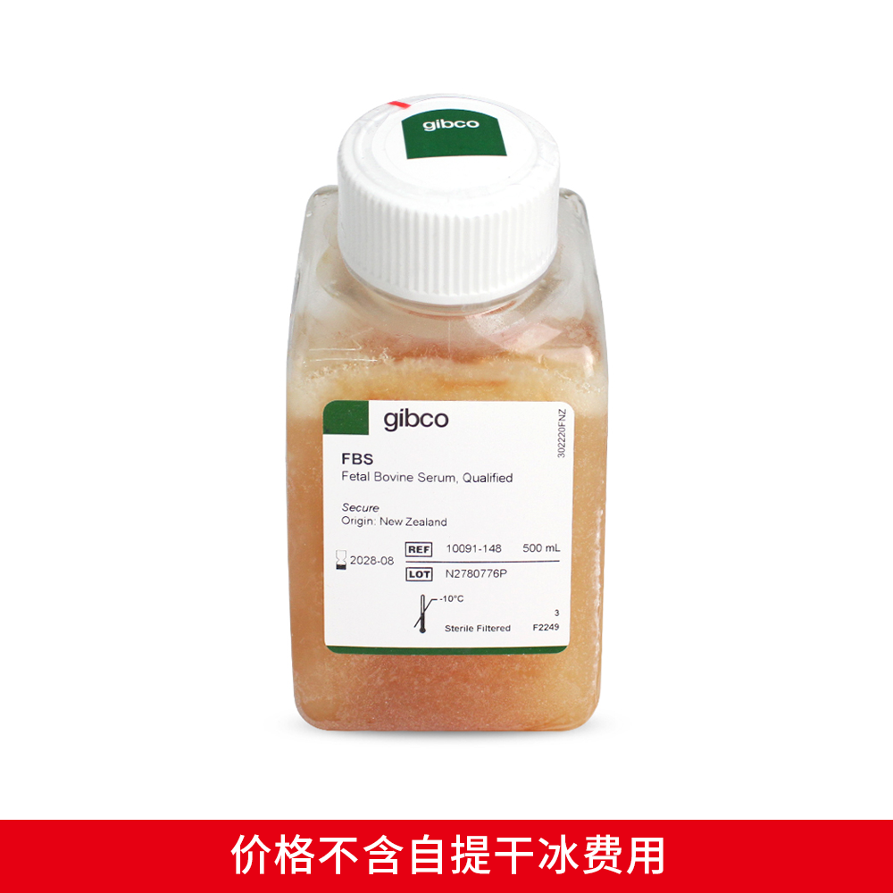 10091148 新西兰特级胎牛血清 - Gibco