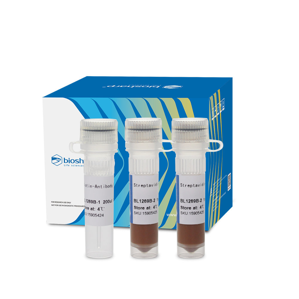 BL1269B 小鼠CD8+ T细胞磁珠法分选试剂盒（阴选） - Biosharp/白鲨