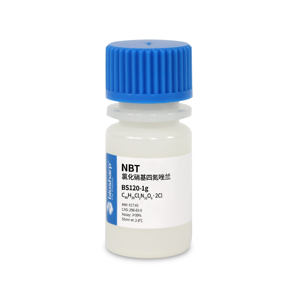 BS120-1g 氯化硝基四氮唑兰 NBT
