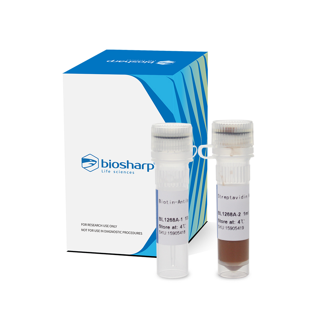 BL1268A 小鼠CD4+ T细胞磁珠法分选试剂盒（阴选） - Biosharp/白鲨