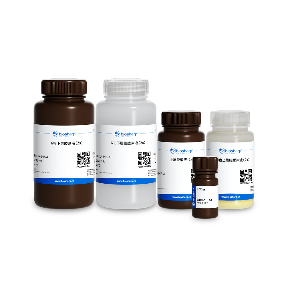 BL1464A 6% PAGE彩色凝胶快速制备试剂盒(免封闭)(淡黄色)