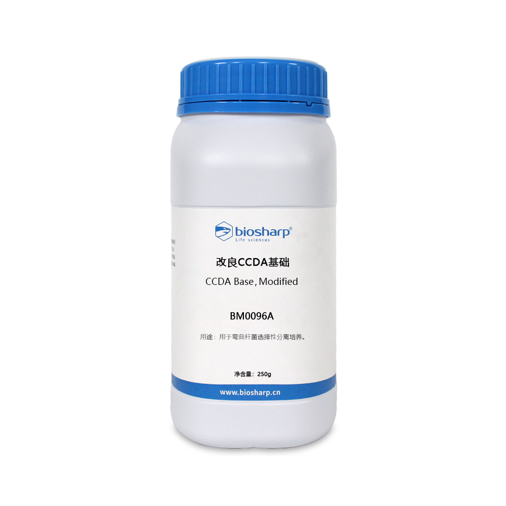 BM0096A 改良CCDA基础