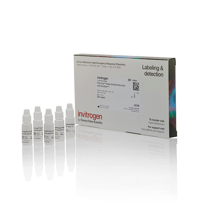 P36981 ProLong 玻璃抗淬灭封片剂（含 NucBlue 染色剂） - Invitrogen