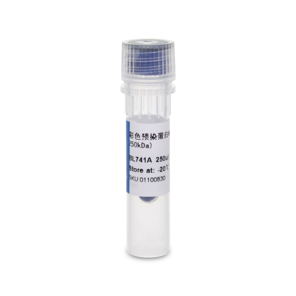 BL741A 彩色预染蛋白Marker（10-250kDa）