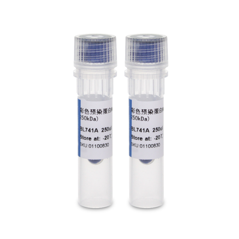 BL741B 彩色预染蛋白Marker（10-250kDa）