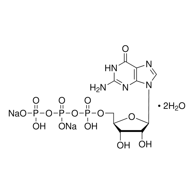 10106399001 三磷酸鸟苷 - ROCHE/罗氏