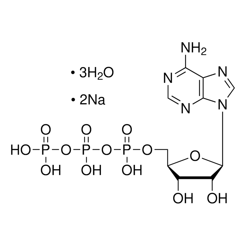 10127523001 试剂ATP - ROCHE/罗氏