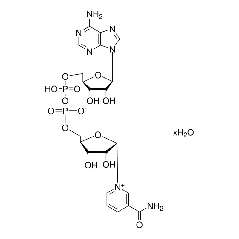 10127973001 试剂NAD - ROCHE/罗氏