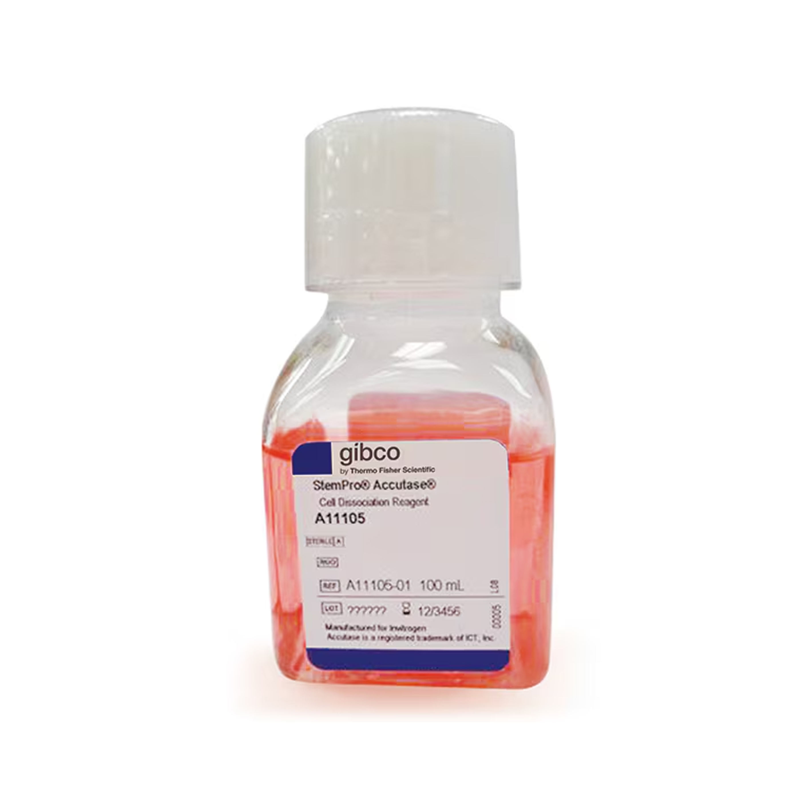 A1110501 StemPro Accutase 细胞解离试剂 - Gibco