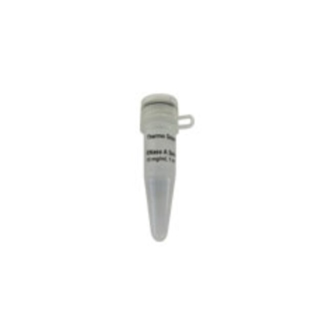EN0531 RNase A（10 mg/mL, 不含 DNase 和蛋白酶） - Fermentas(MBI)
