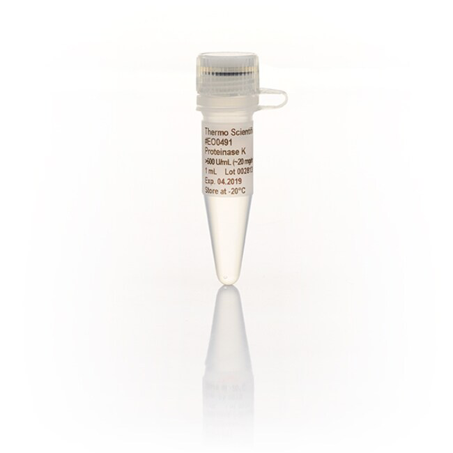 EO0492 蛋白酶 K，重组，PCR 级 - Fermentas(MBI)