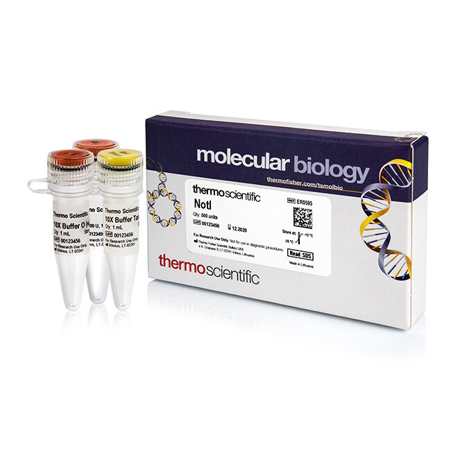 ER0595 限制性内切酶NotI (10 U/μL)-500 units - Fermentas(MBI)