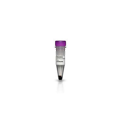 PA15401 试剂CYPHER 5E NHS ESTER 1MG - Cytiva/思拓凡