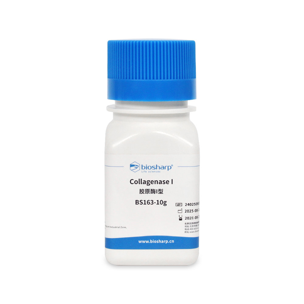 BS163-10g 胶原酶I型Collagenase I 2-8度 - Biosharp/白鲨