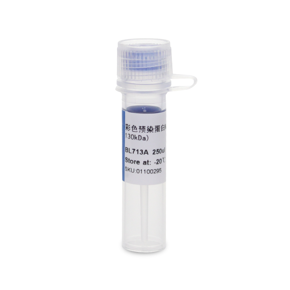 BL713A 彩色预染蛋白Marker（15-130kDa） - Biosharp/白鲨
