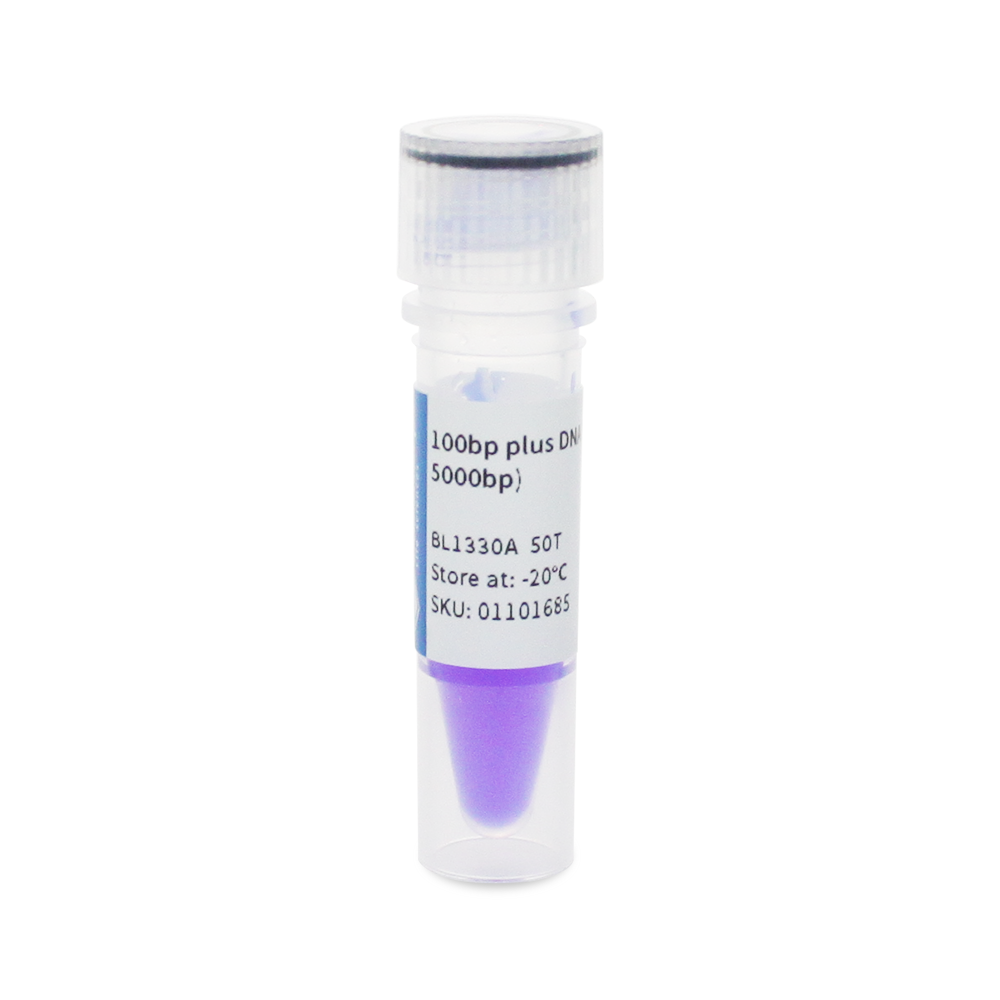 BL1330A 100bp plus DNA Marker 分子量标准(100-5000bp) - Biosharp/白鲨
