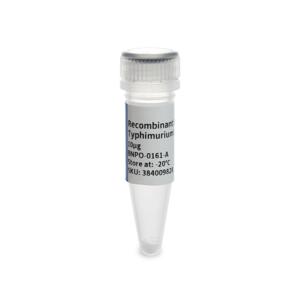 BNPO-0161-A 重组鼠伤寒沙门氏菌Flagellin蛋白 - Biosharp/白鲨
