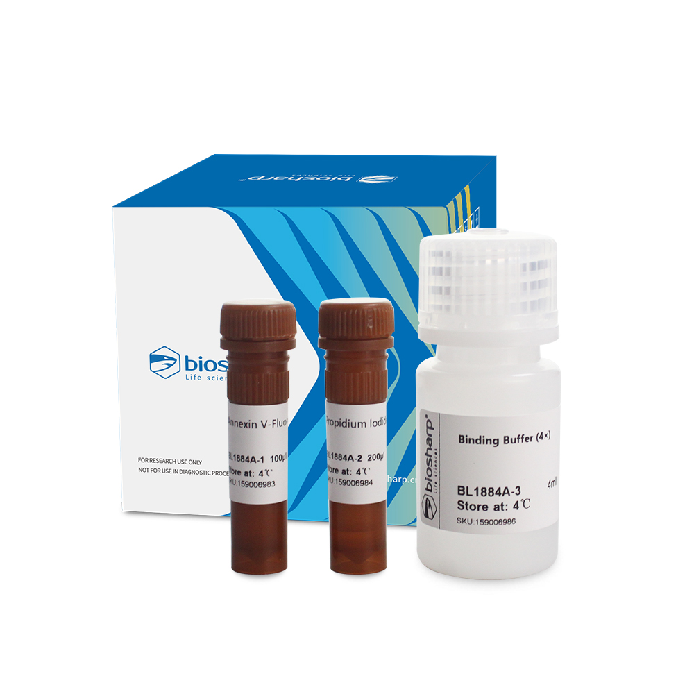 BL1884A Annexin V-Fluor488/PI 双染细胞凋亡检测试剂盒 - Biosharp/白鲨