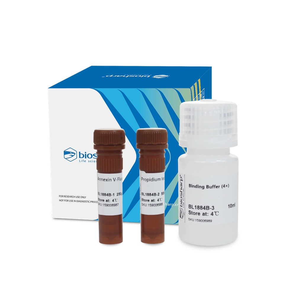 BL1884B Annexin V-Fluor488/PI 双染细胞凋亡检测试剂盒 - Biosharp/白鲨