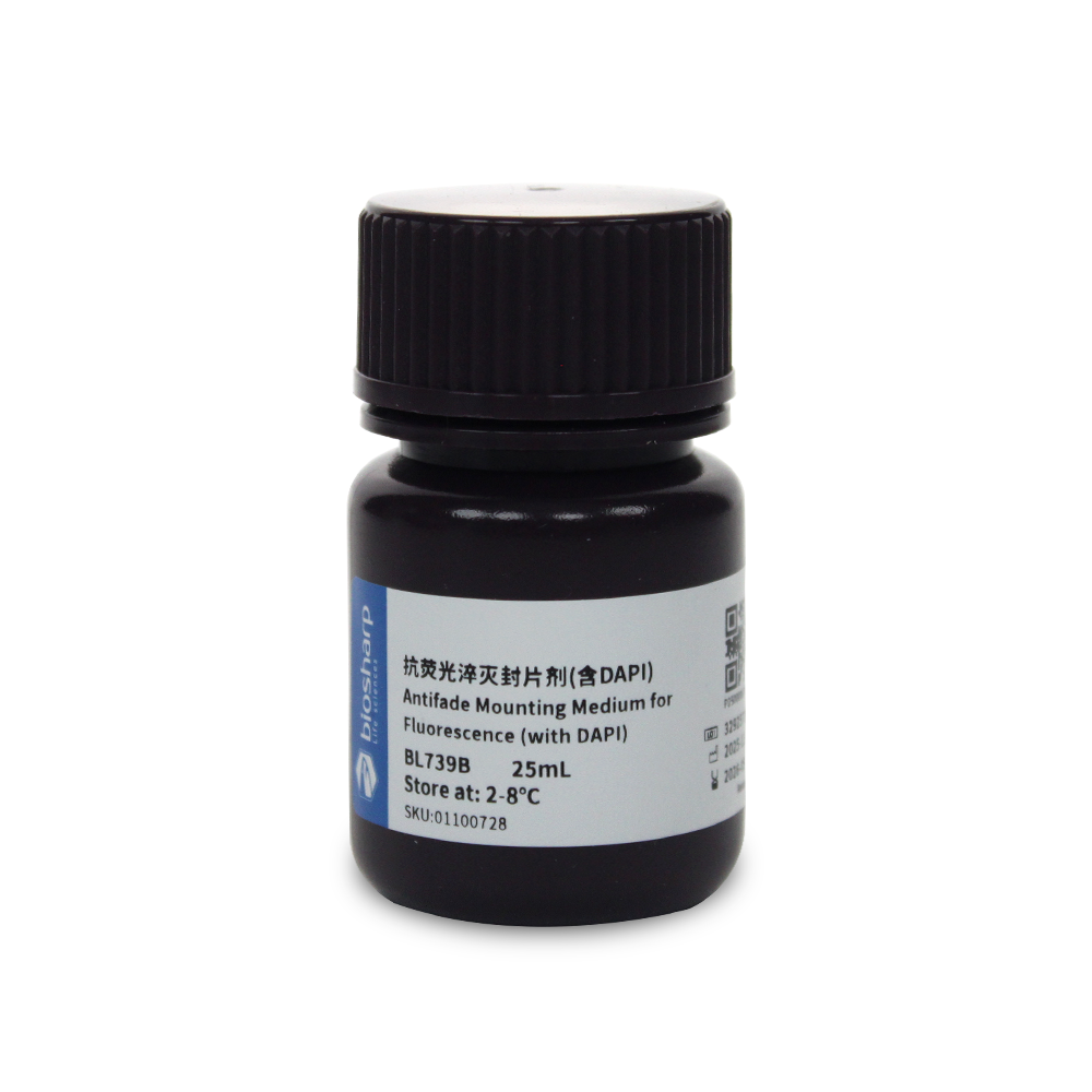 BL739B 抗荧光淬灭封片剂(含DAPI) - Biosharp/白鲨
