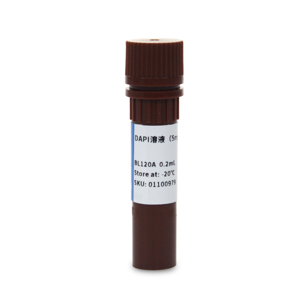 BL120A DAPI溶液（5mg/ml） - Biosharp/白鲨
