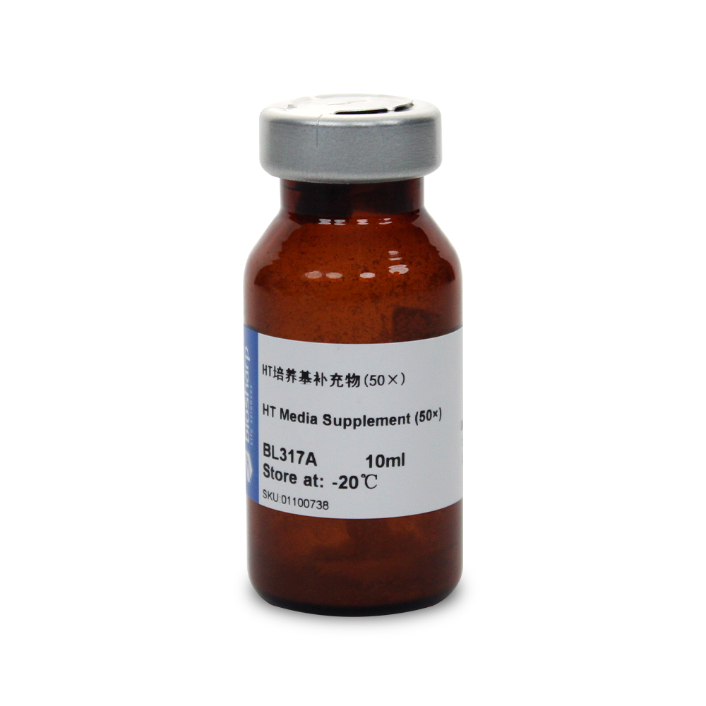 BL317A HT培养基补充物(50×) - Biosharp/白鲨