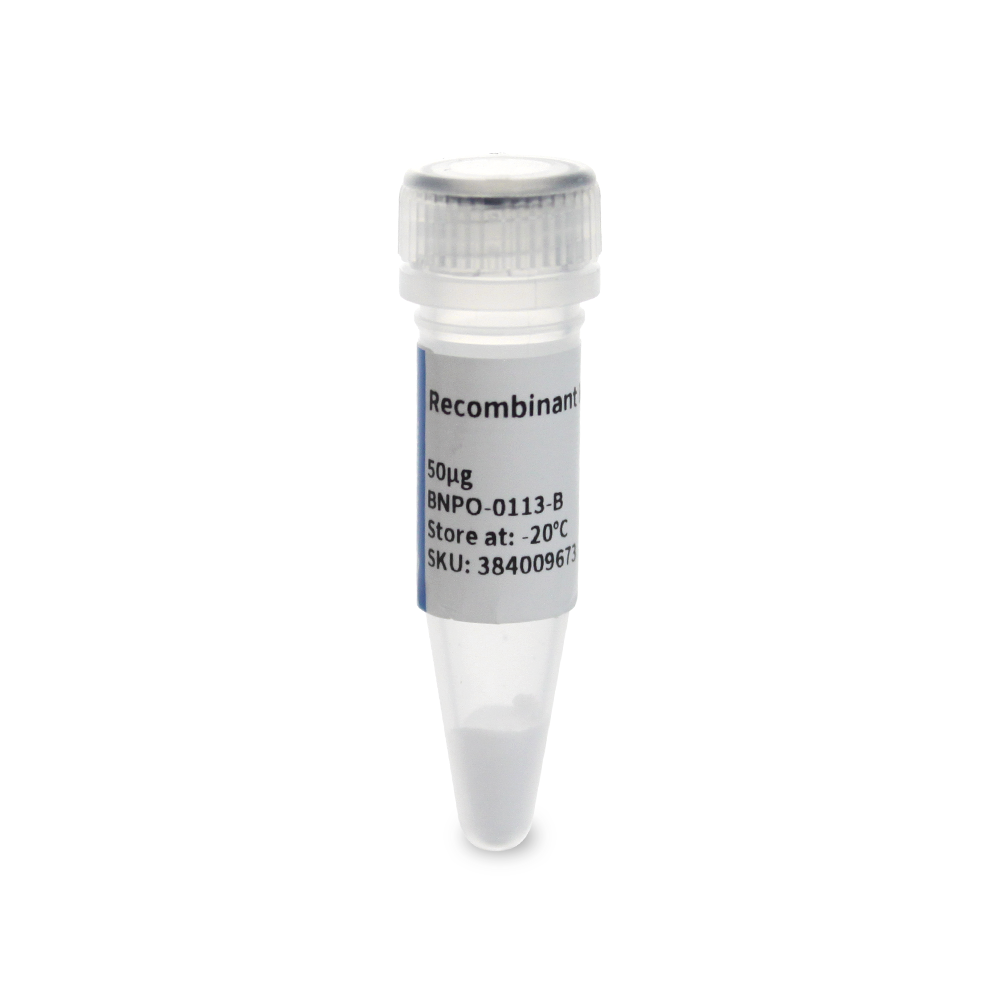 BNPO-0113-B 重组大鼠 VEGF 164蛋白 - Biosharp/白鲨