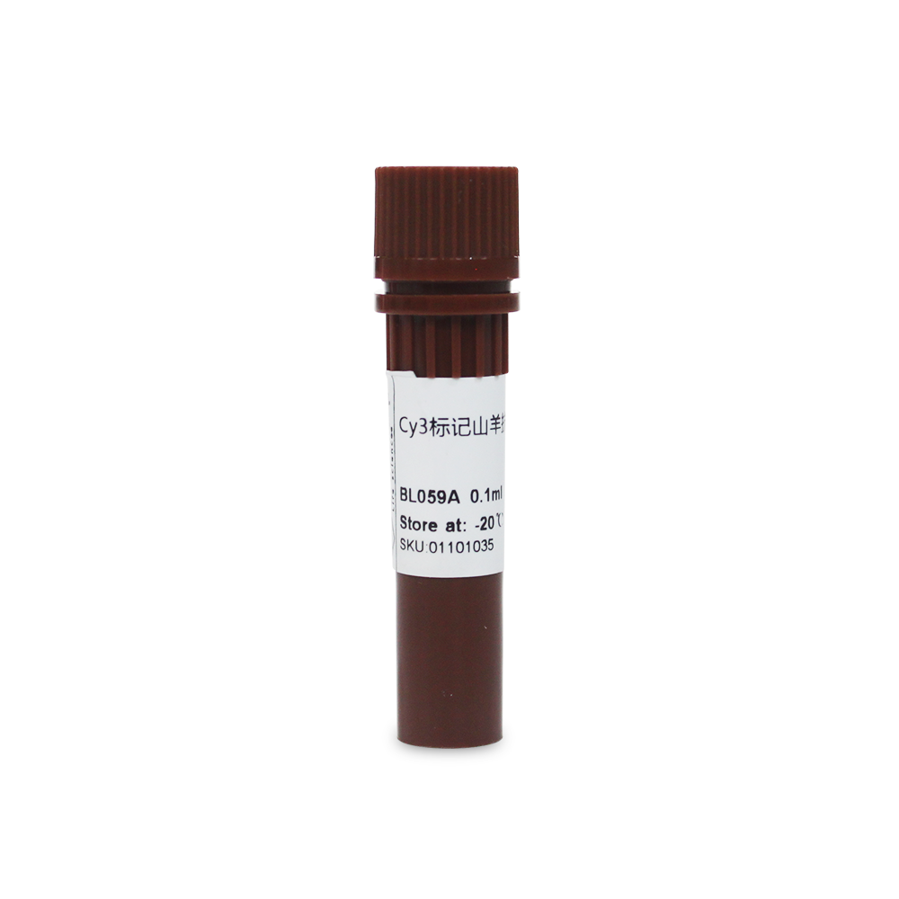 BL059A Cy3标记山羊抗大鼠IgG(H+L) - Biosharp/白鲨