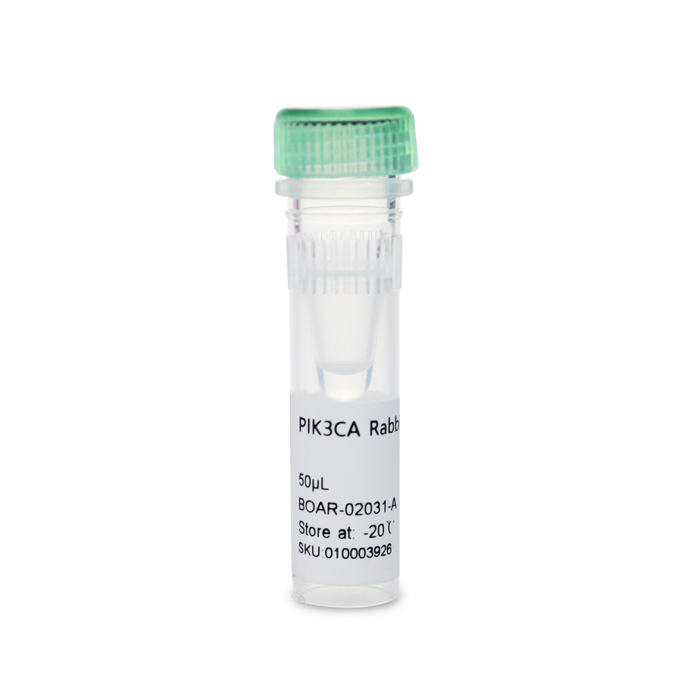 BOAR-02031-A PIK3CA Rabbit Polyclonal 抗体 - Biosharp/白鲨