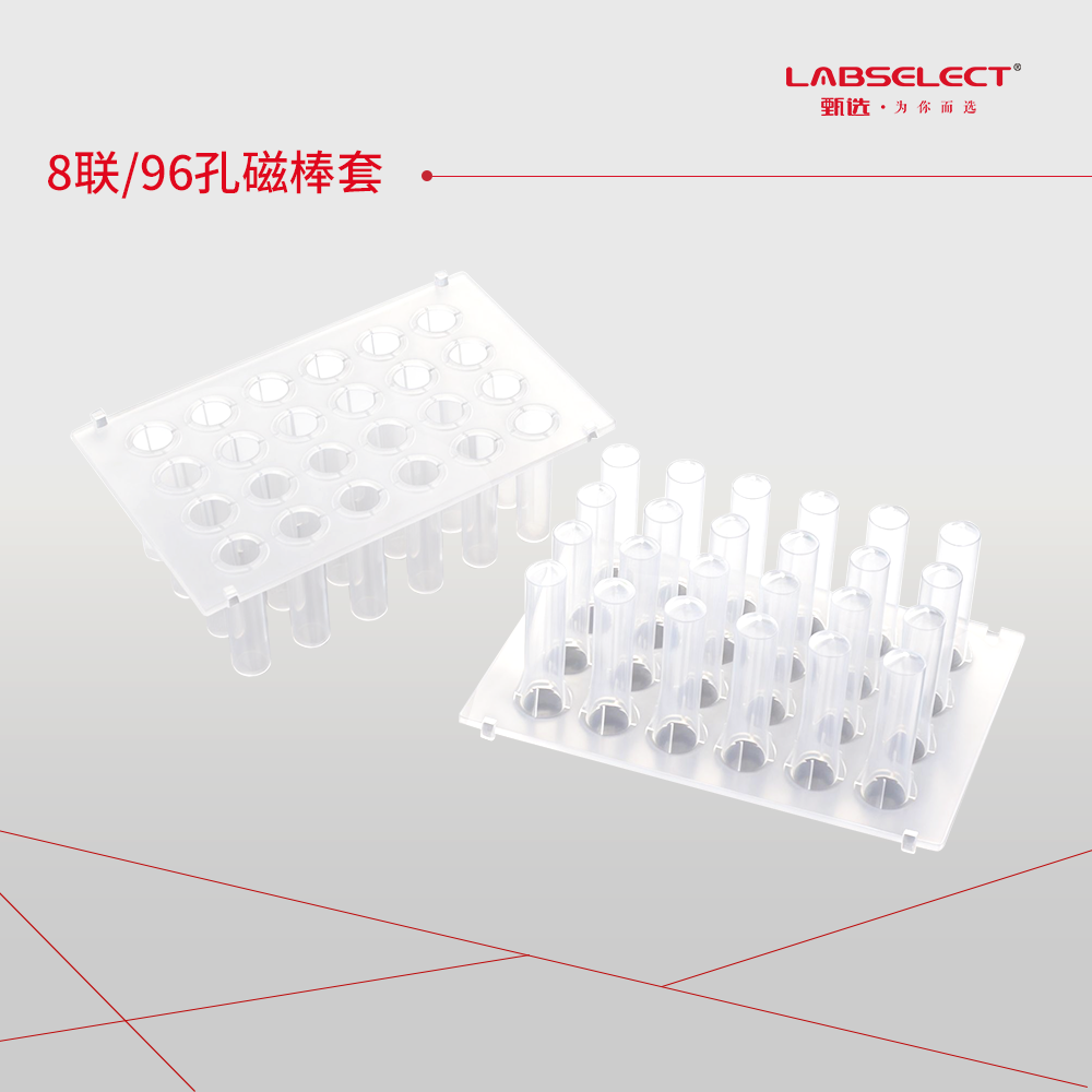 DWT-24-V-01 24孔V底磁棒套