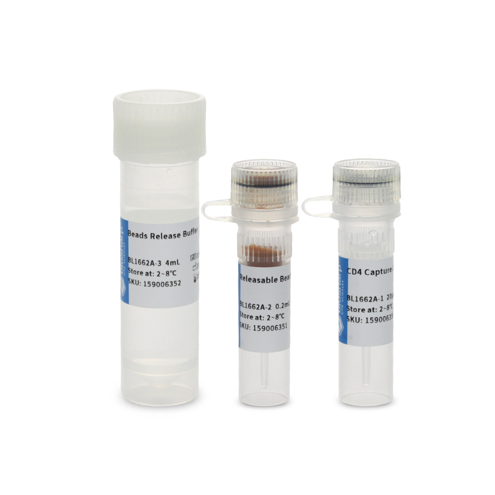 BL1662A 小鼠CD4+ 细胞磁珠法分选试剂盒（阳选） - Biosharp/白鲨