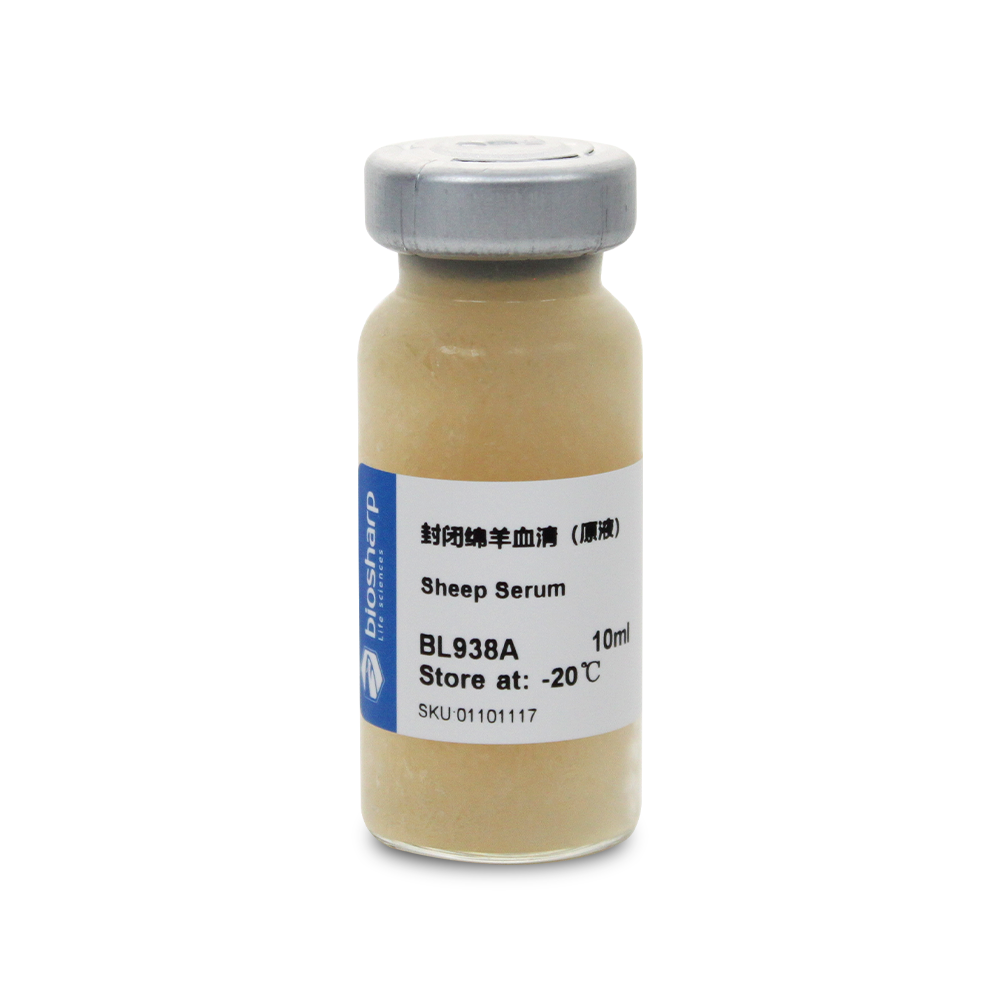 BL938A 封闭绵羊血清（原液） - Biosharp/白鲨