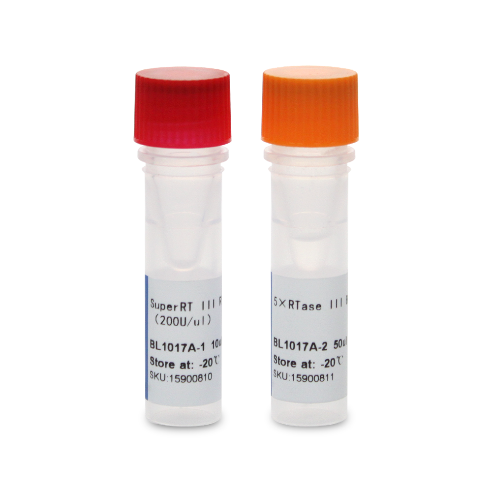 BL1017A SuperRT III 反转录酶 - Biosharp/白鲨